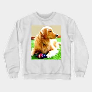 Golden Retriever Dog - Dallas Crewneck Sweatshirt